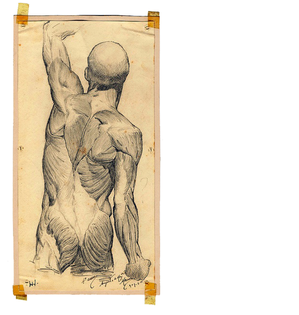 600x631 Collection Of Free Back Drawing Sketch. Download On Ubisafe - Human Back Sketch