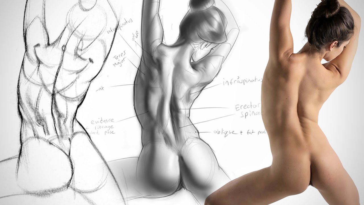 1280x720 Anatomy Drawing Critiques - Human Body Anatomy Sketch