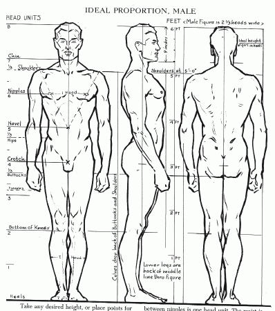 398x449 7 Tutorials On How To Draw The Human Anatomy Body Figure - Human Body Anatomy Sketch
