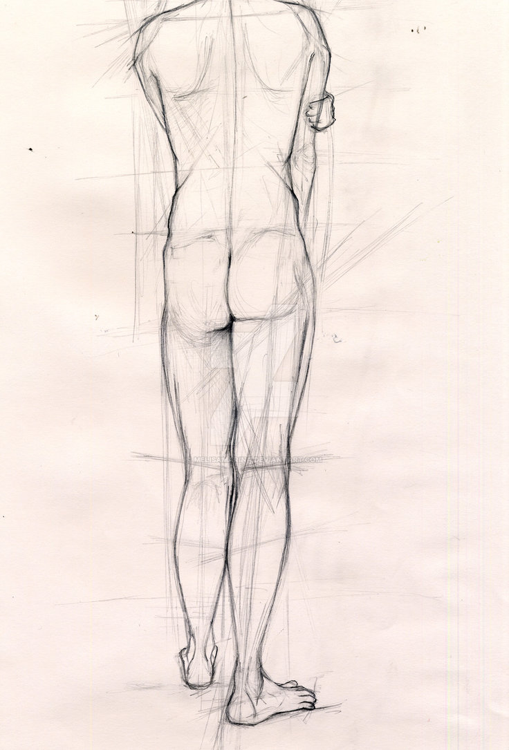 736x1085 Life Drawing - Human Body Sketch