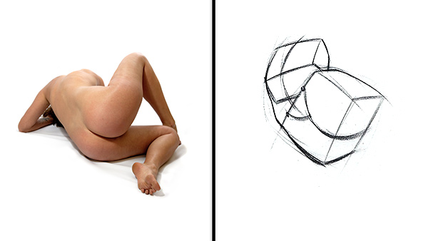 600x338 How To Draw Structure In The Body Robo Bean Proko - Human Body Structure Sketch