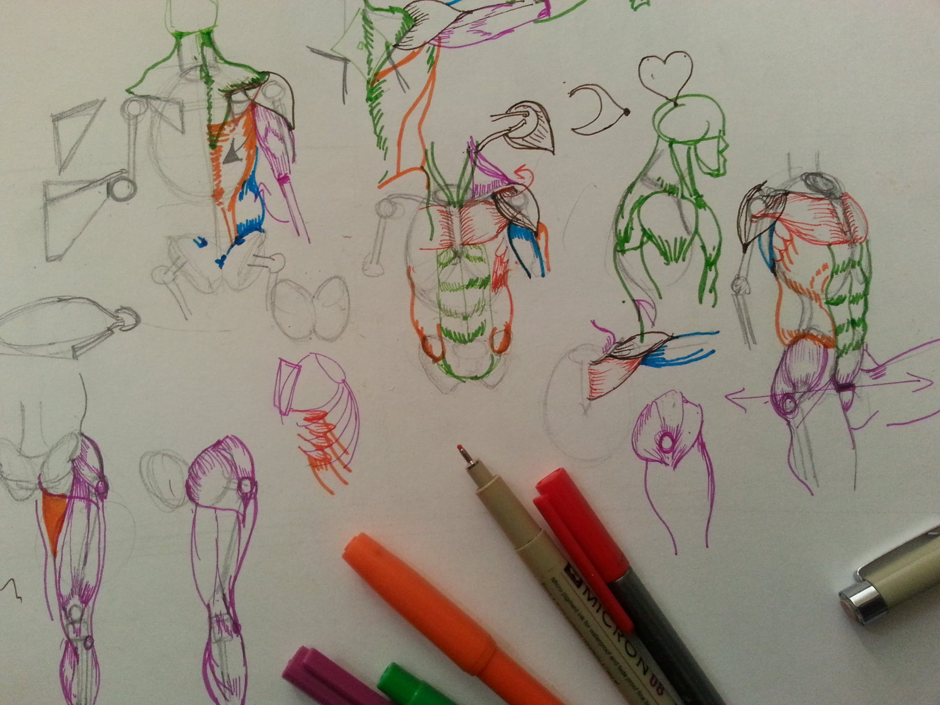 Уроки рисования человека анатомия