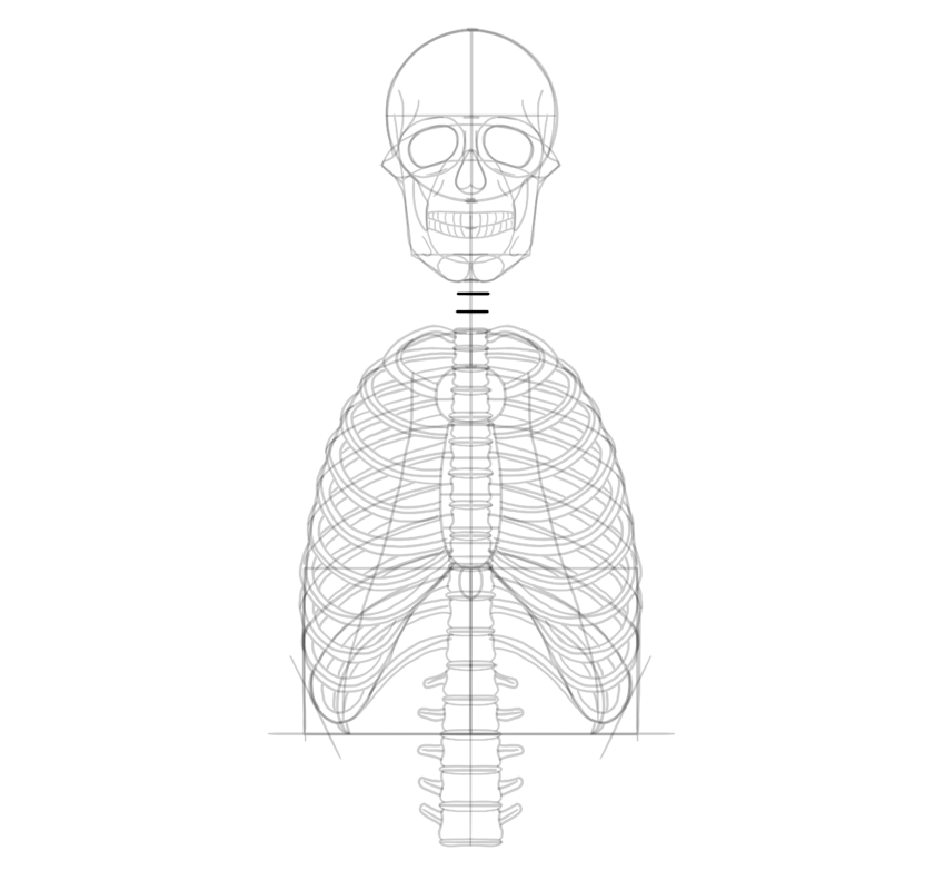 850x800 How To Draw A Skeleton Step By Step - Human Bones Sketch