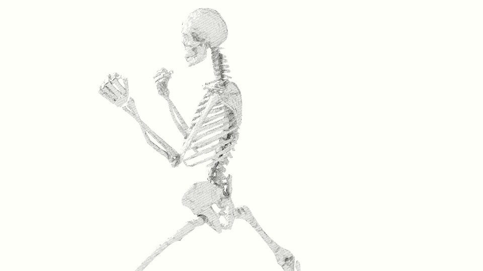 960x540 Blender Fake Sketched Human Skeleton - Human Bones Sketch