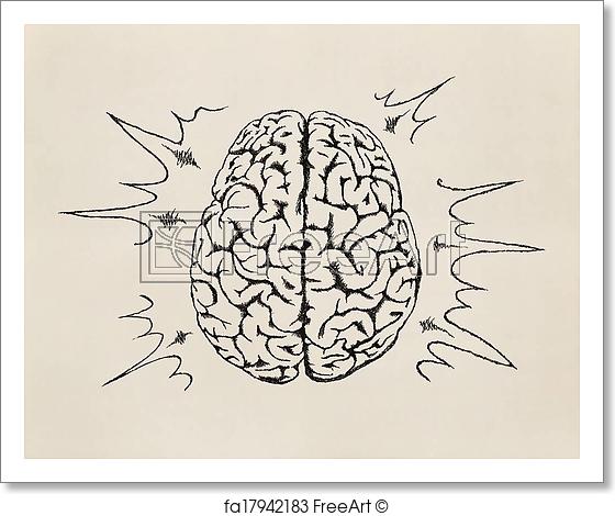 560x470 Free Art Print Of Concept Of Working Human Brain. Sketch. Concept - Human Brain Sketch