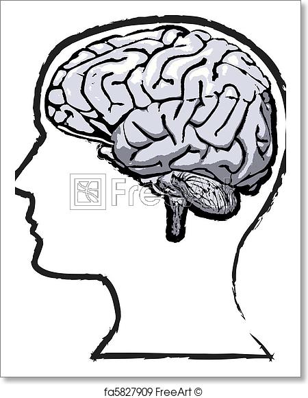 450x580 Free Art Print Of Rough Human Brain Mind Grunge Sketch. Rough But - Human Brain Sketch