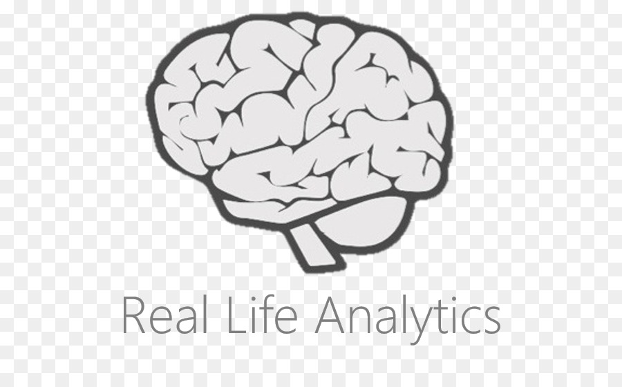 900x560 Human Brain Drawing Human Body Sketch - Human Brain Sketch