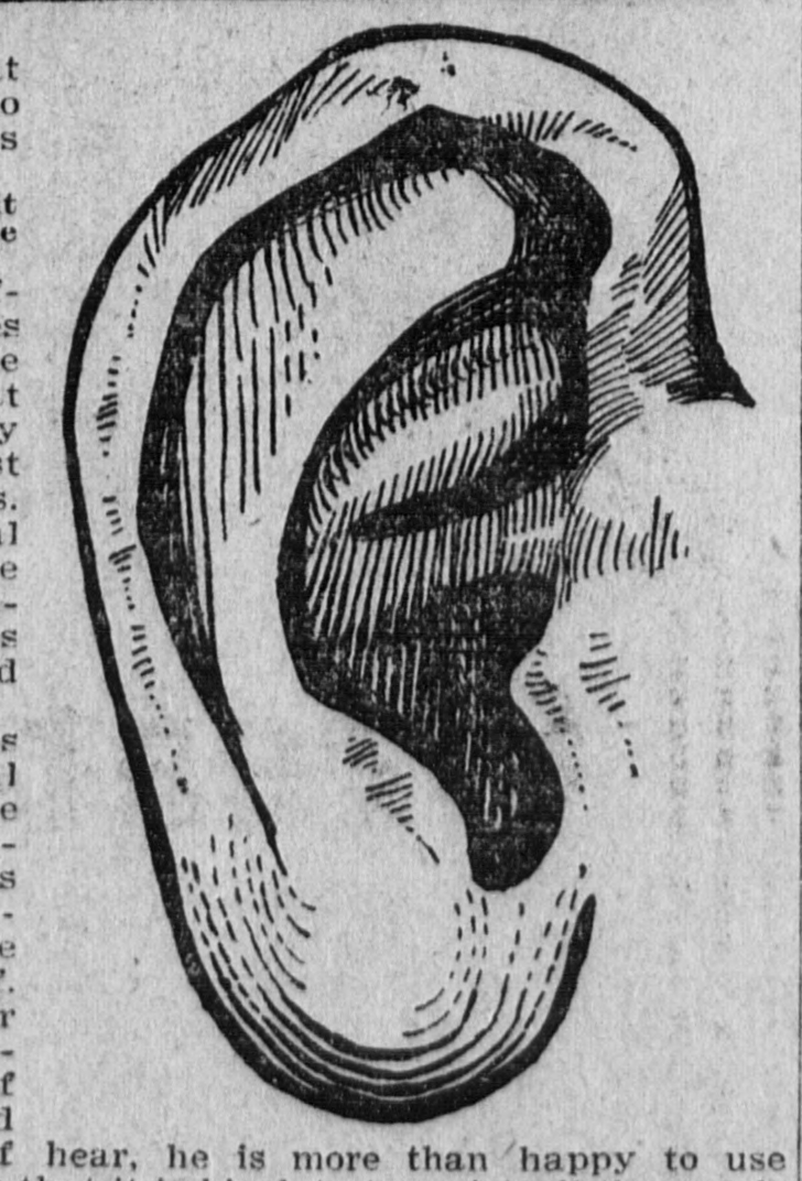 728x1072 Filehuman Ear (Sketch).jpg - Human Ear Sketch