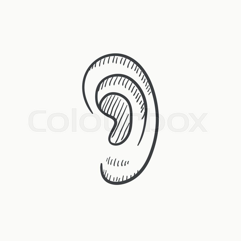 800x800 Human Ear Vector Sketch Icon Isolated On Background. Hand Drawn - Human Ear Sketch