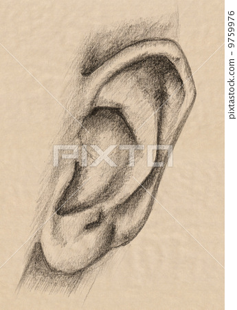 345x450 Human Ear Pencil Drawing Over Brown Textured Paper - Human Ear Sketch