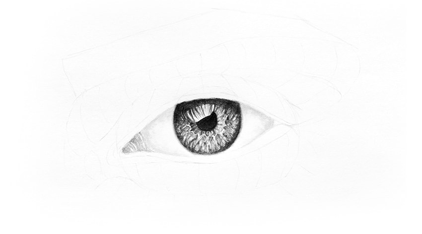 850x472 How To Draw A Realistic Eye - Human Eye Sketch
