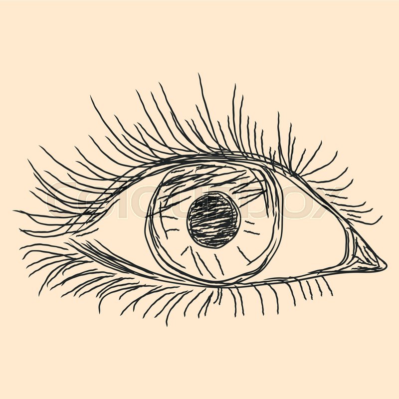 800x800 Human Eye, Hand Drawn Vector Sketch On The Beige Background - Human Eye Sketch