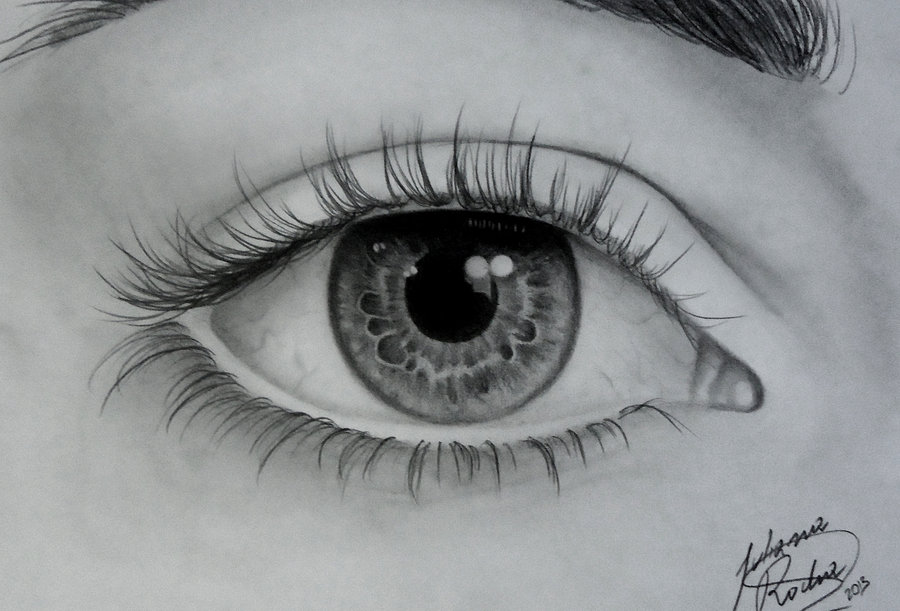 Human Eye Sketch at PaintingValley.com | Explore collection of Human ...