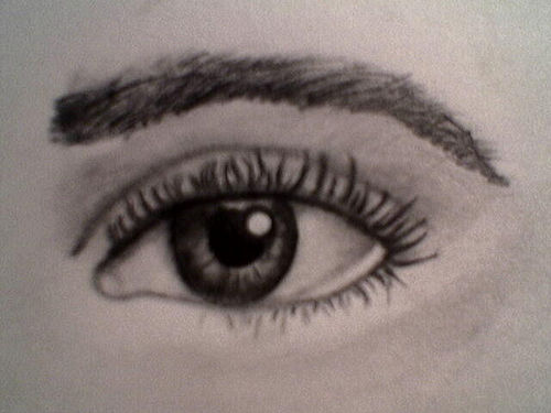 500x375 Pencil Sketches And Drawings How To Draw Realistic Human Eyes - Human Eye Sketch