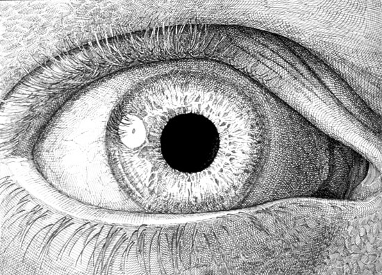 550x396 Eye Human Drawing Sketch Image Illustration - Human Eye Sketch