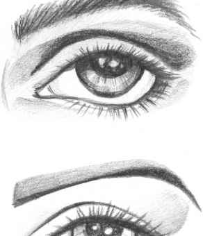 292x340 The Eyes - Human Face Sketch