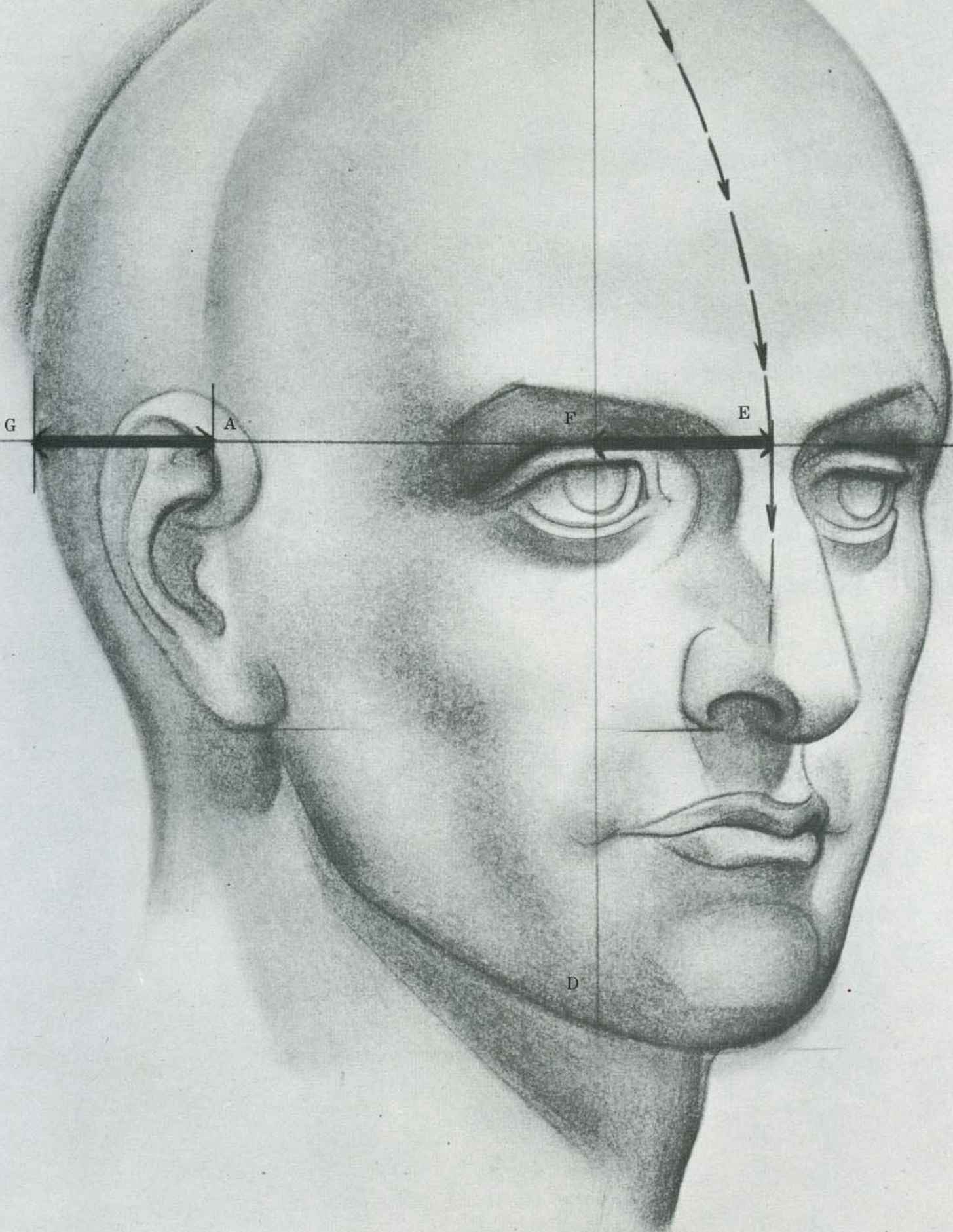 1455x1881 Drawing The Human Head - Human Face Sketch
