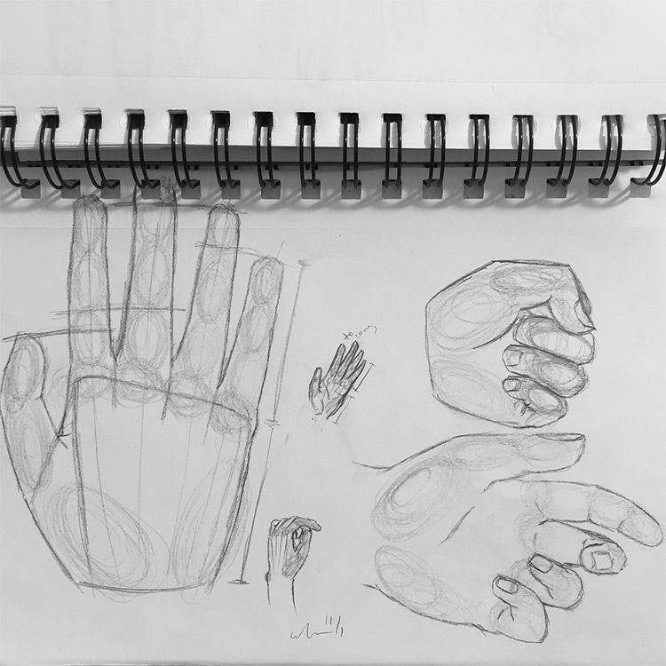 Human Hand Sketch