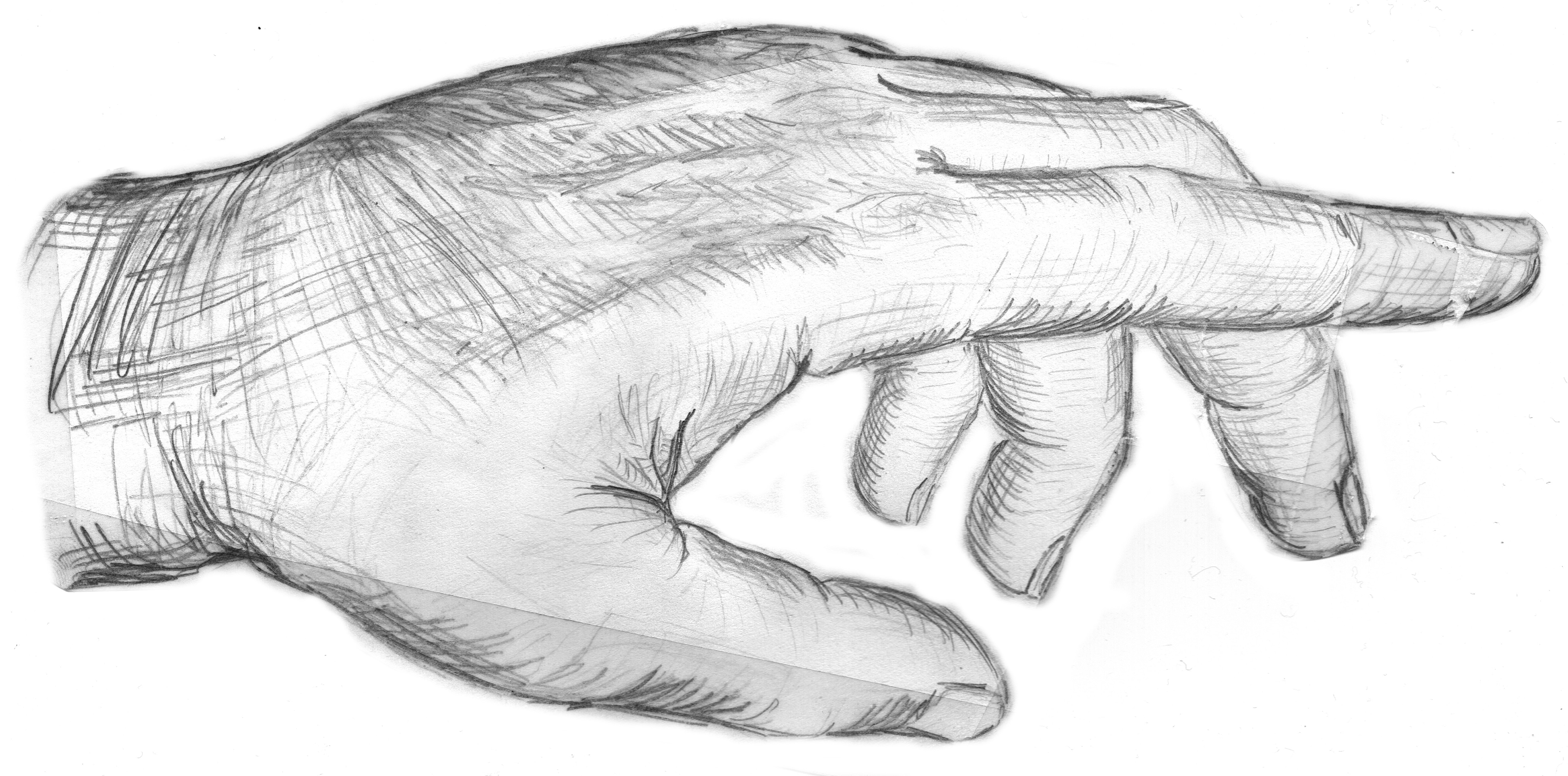 5488x2716 Left Human Hand Sketch Free Image Peakpx - Human Hand Sketch