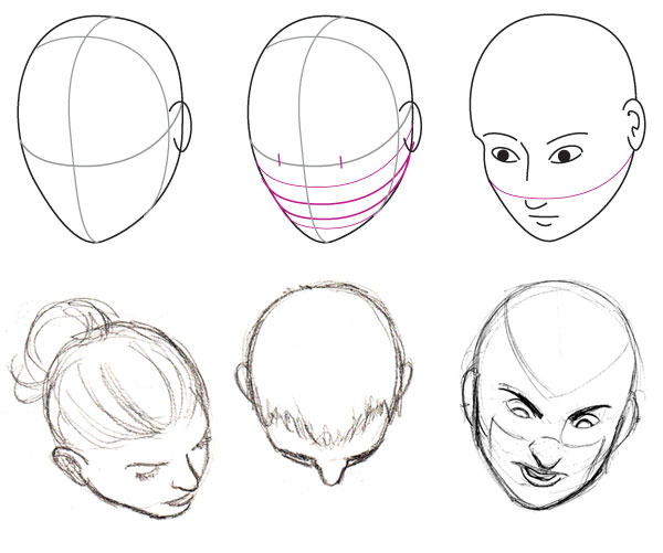 600x501 Human Anatomy Fundamentals Basics Of The Face - Human Head Sketch