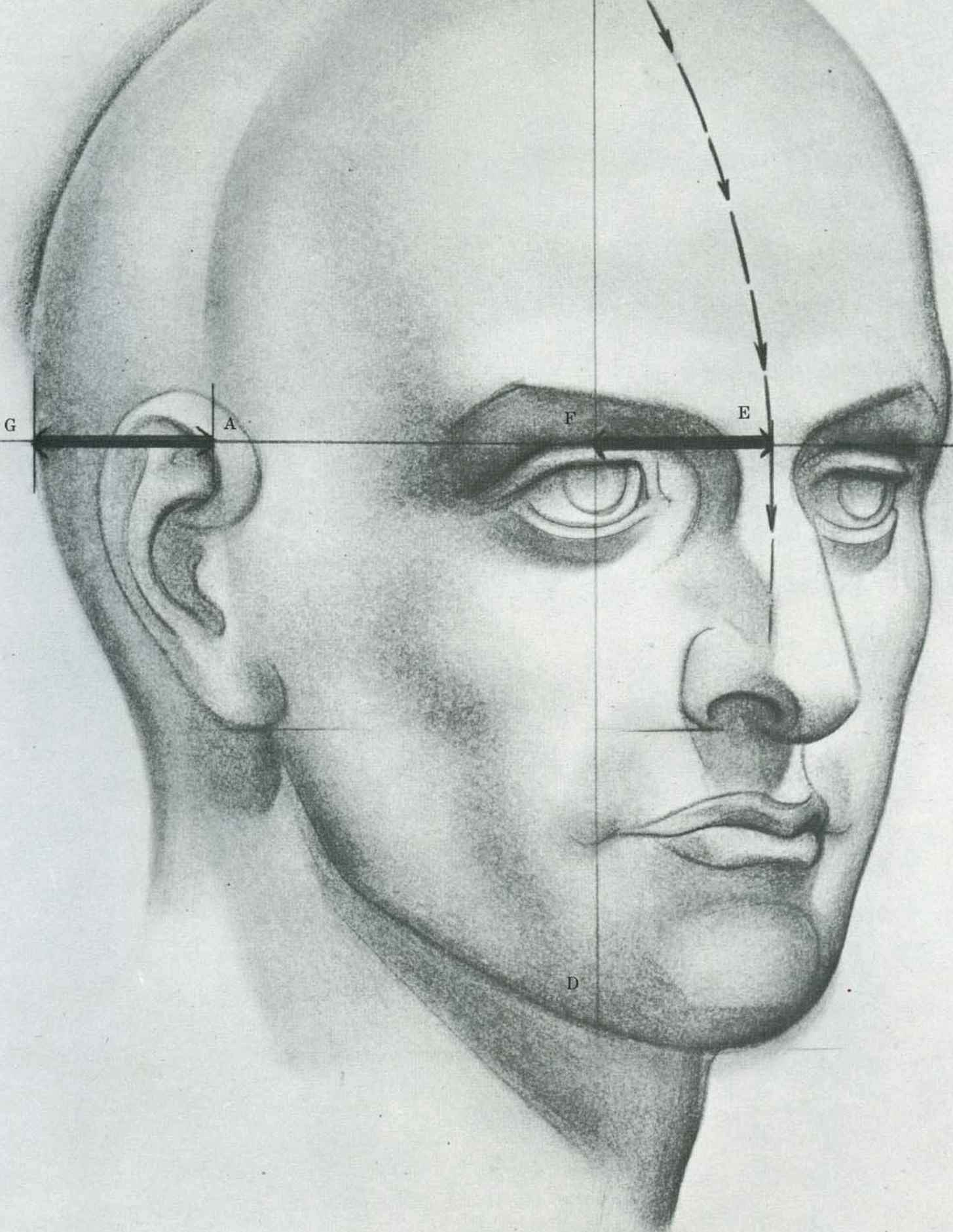 1455x1881 Human Face Sketch Drawing The Human Head Drawing The Human Head - Human Head Sketch