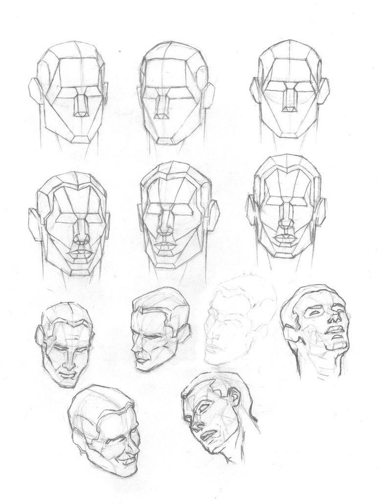 775x1031 Human Head Plates 2 By Atlas0 - Human Head Sketch