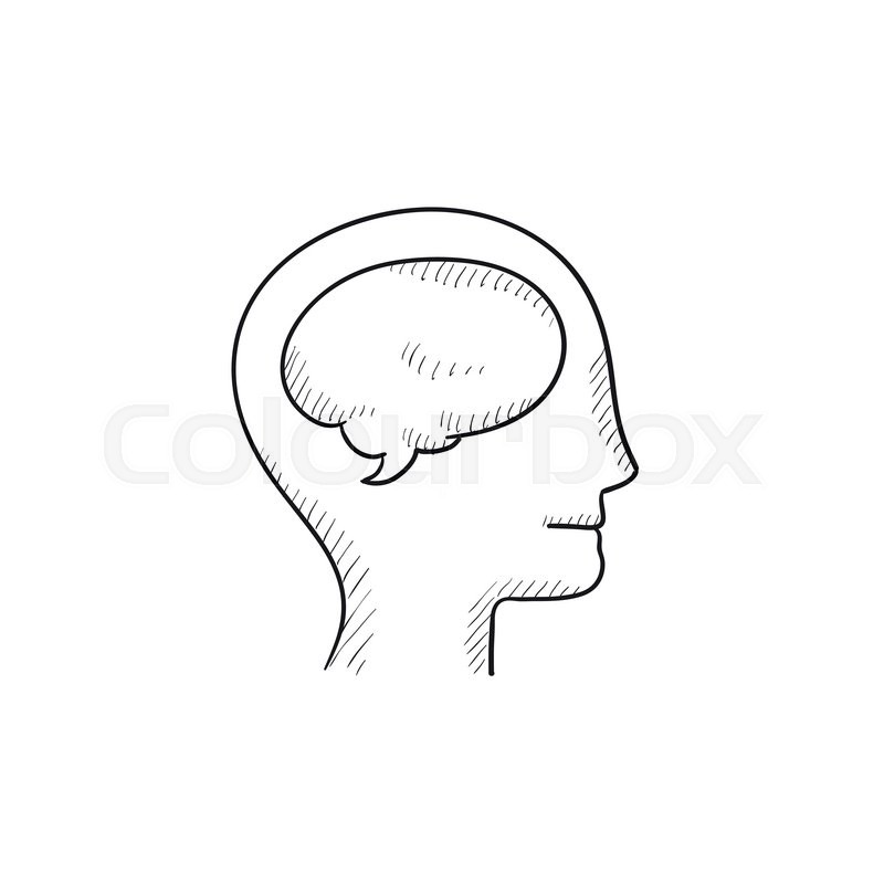 800x800 Human Head With Brain Vector Sketch Icon Isolated On Background - Human Head Sketch