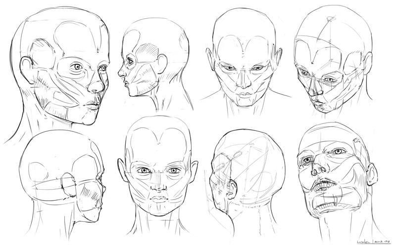 Референсы снизу. Лицо снизу референс. Рисование лица в разных ракурсах. Рисование головы в разных ракурсах. Ракурсы головы для рисования.