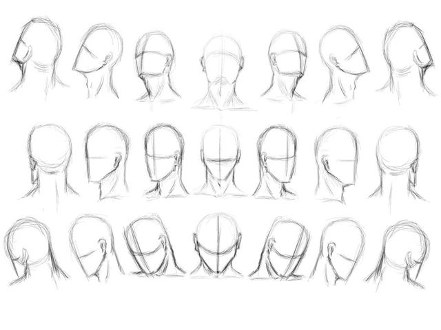 640x480 How To Draw The Human Head 7 Human Anatomy Human - Human Head Sketch