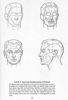 236x348 32 Best Drawing The Human Head Images - Human Head Sketch