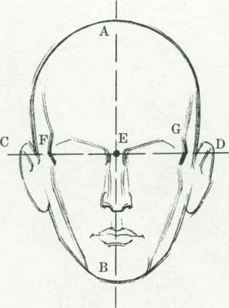 447x601 Drawing The Human Head - Human Head Sketch