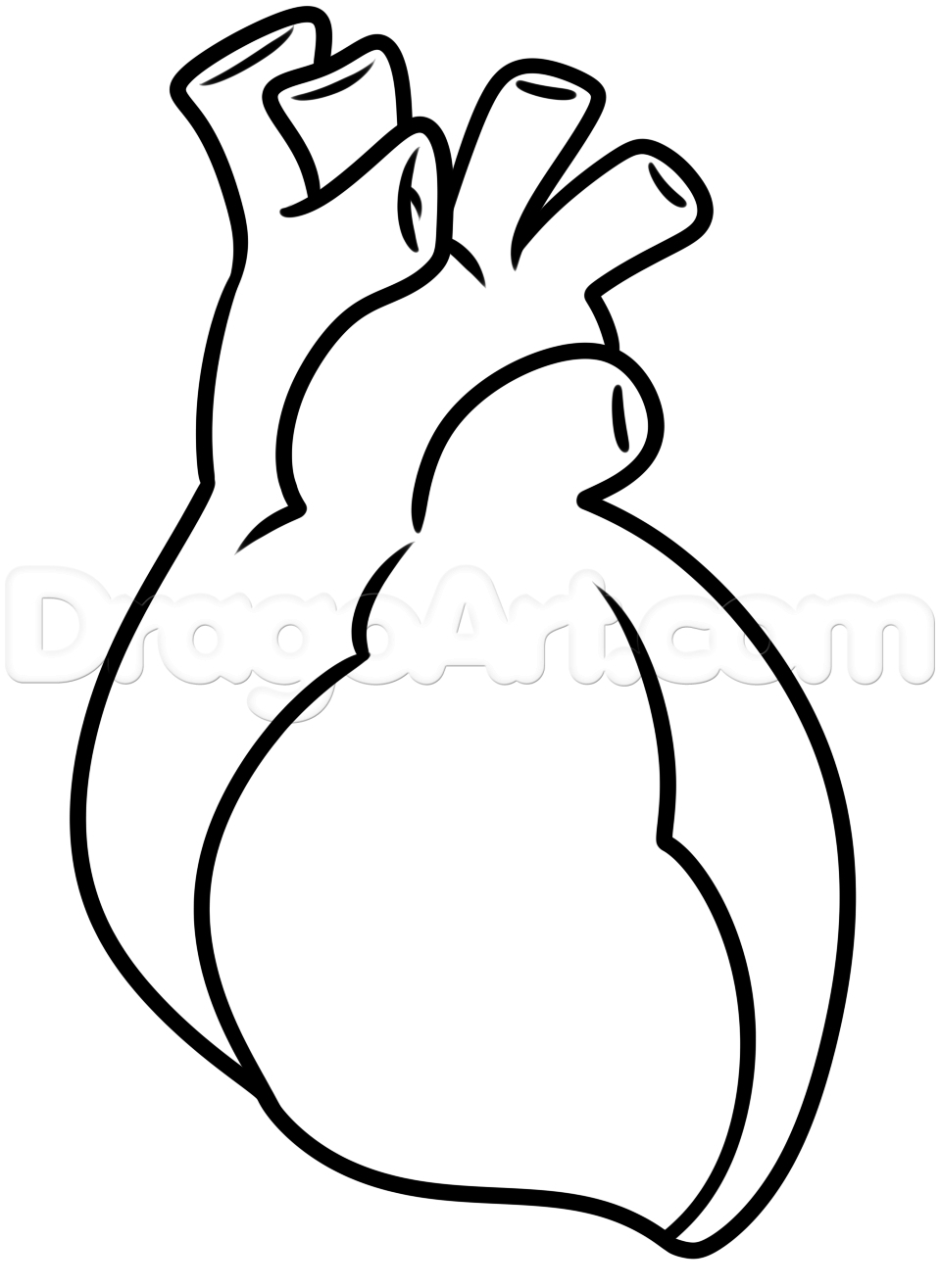 959x1315 Human Heart Drawing For Kids Simple Heart Sketching Images Drawing - Human Heart Pencil Sketch