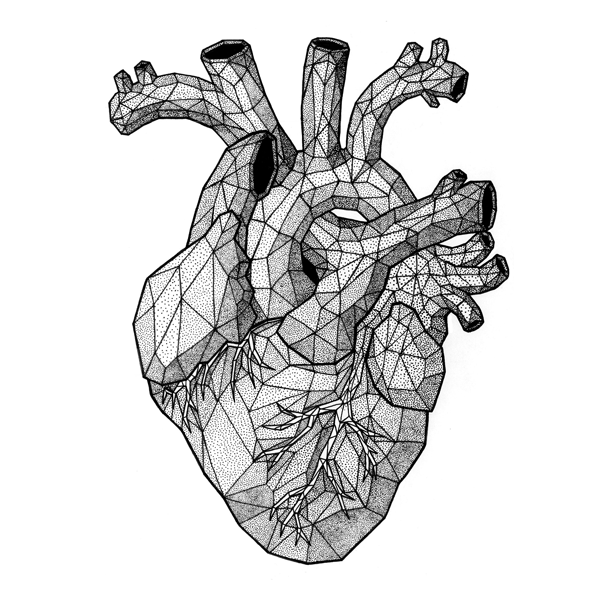 600x600 Human Heart Pencil Drawing - Human Heart Pencil Sketch