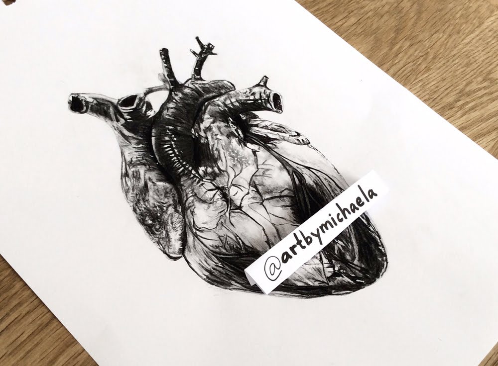 1000x736 Drawing A Human Heart - Human Heart Sketch