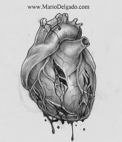 428x500 Drawn Broken Heart Human Heart - Human Heart Sketch