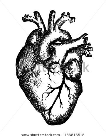361x470 Human Heart Black And White Drawing - Human Heart Sketch Images