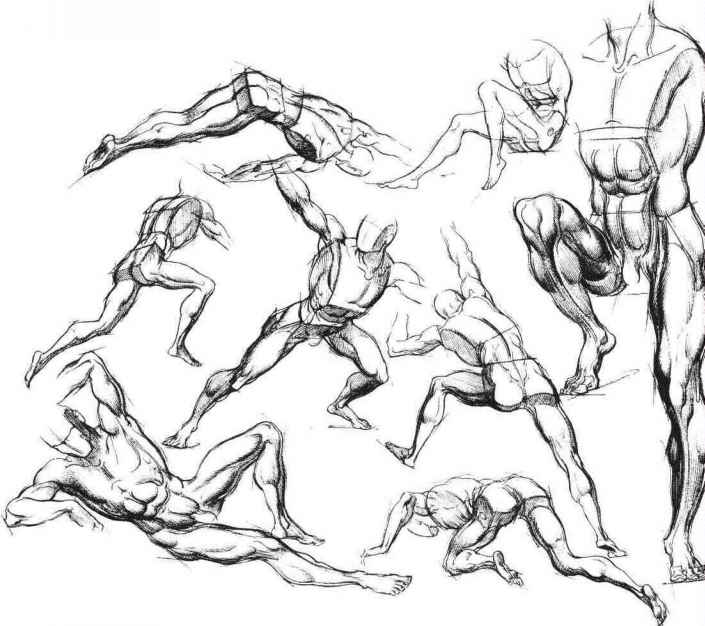 705x626 The Legs Are Secondary - Human Leg Sketch