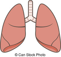 205x194 Lungs Clipart Heart Lung ~ Frames ~ Illustrations ~ Hd Images - Human Lung Sketch