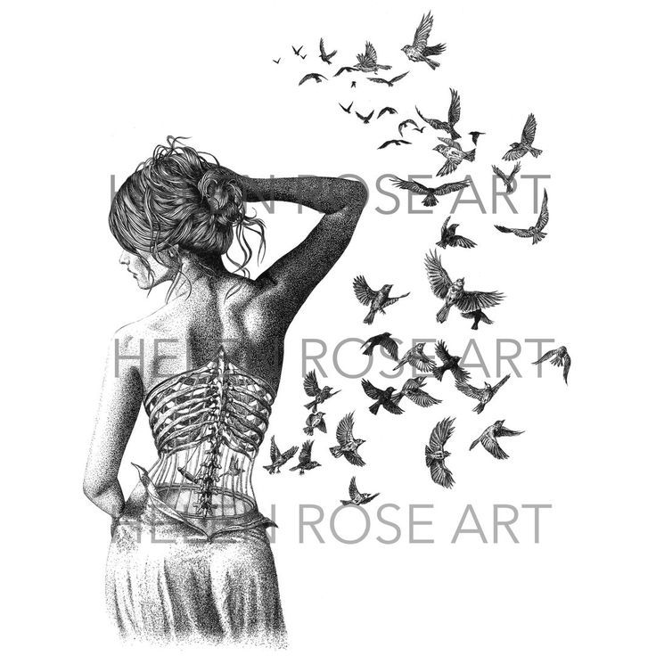 736x736 Lungs Clipart Surrealism ~ Frames ~ Illustrations ~ Hd Images - Human Lung Sketch