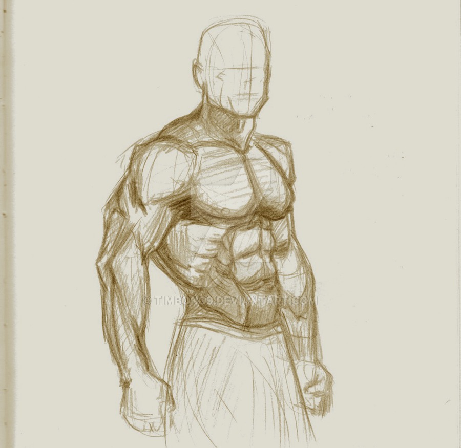 900x875 Musclessketch By Timbono9 - Human Muscle Sketch