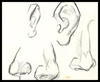 200x164 How To Draw A Nose And The Face Drawing Tutorials Amp Drawing Amp How - Human Nose Sketch