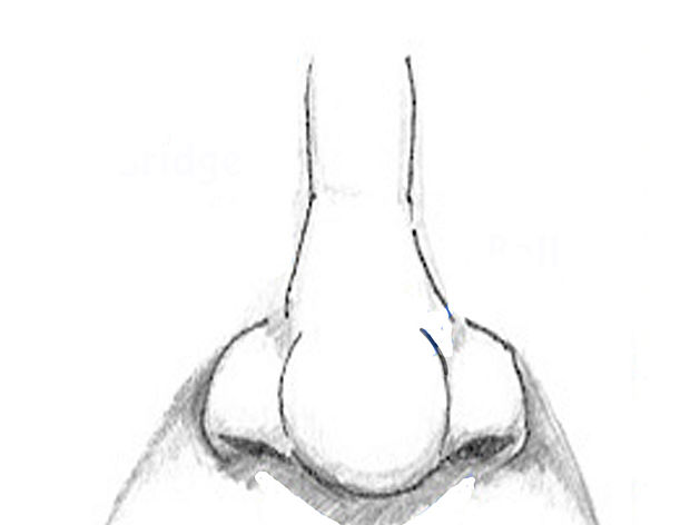 629x472 Pencil Sketches And Drawings How To Draw Human Nose - Human Nose Sketch