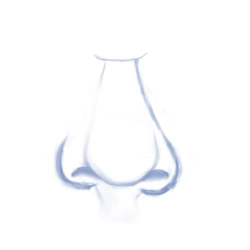 500x500 Anatomy 101 Draw The Human Nose - Human Nose Sketch