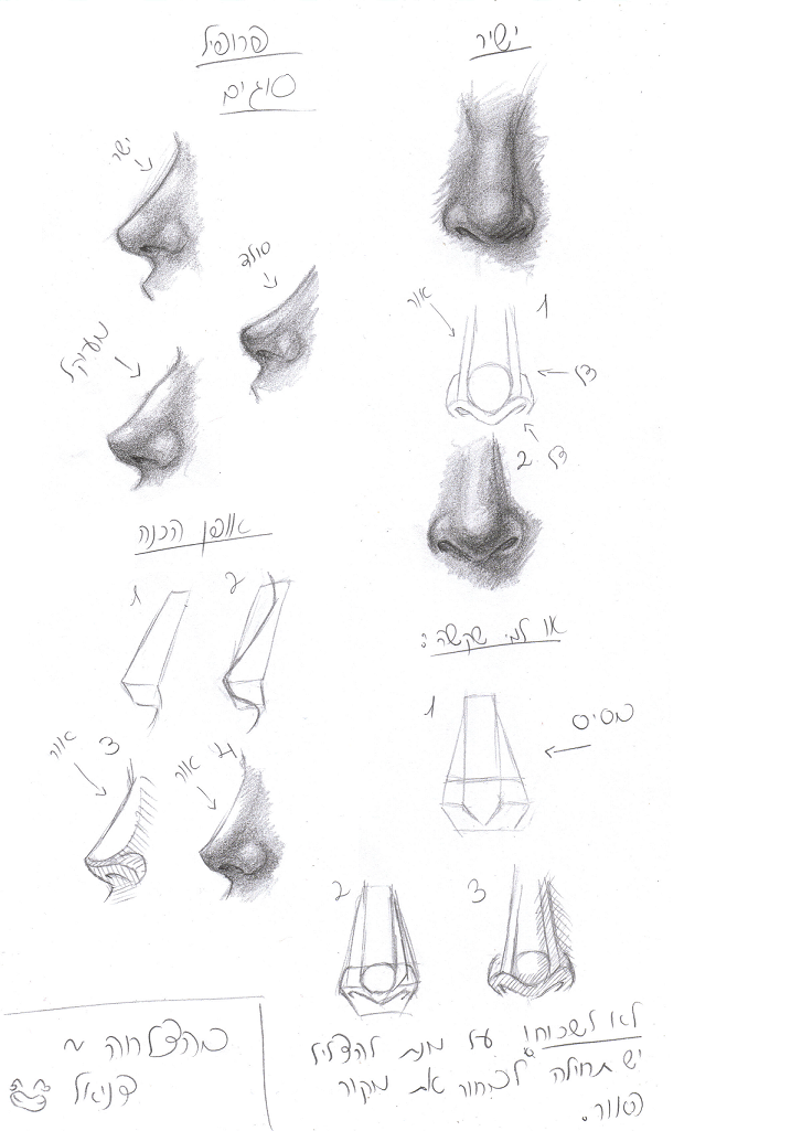 717x1025 Human Nose Tutorial By ~wannasleep De - Human Nose Sketch
