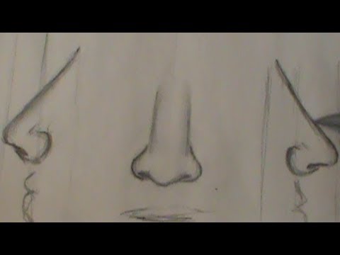 480x360 Easy Way To Draw A Nose (For Beginning) - Human Nose Sketch
