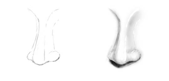540x260 How To Draw Noses - Human Nose Sketch