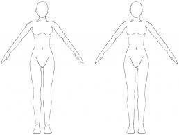 258x195 Human Body Form Sketch - Human Outline Sketch