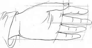 313x166 Sketches Of Human Anatomy - Human Outline Sketch