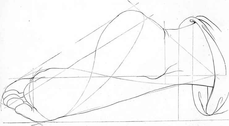 741x408 Sketches Of Human Anatomy - Human Postures Sketches