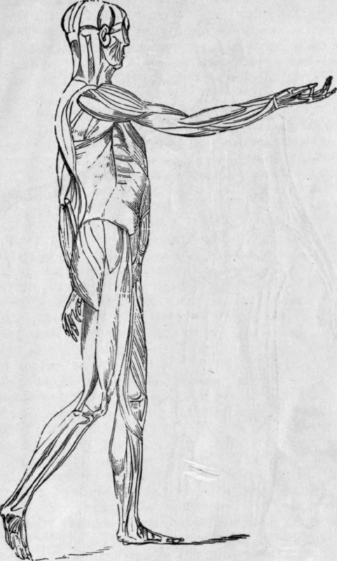 481x800 Profile View Sketches - Human Profile Sketch